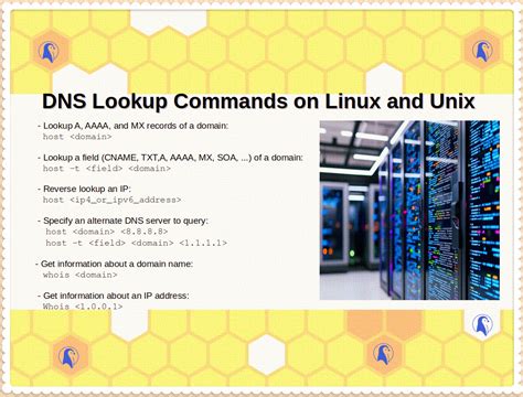linux dns lookup command|Linux / UNIX: DNS Lookup Command .